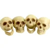 Czaszki na Halloween DEKORACJA CZACHY (4szt.)