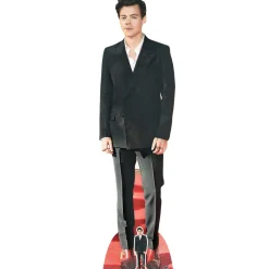 Dekoracja HARRY STYLES karton