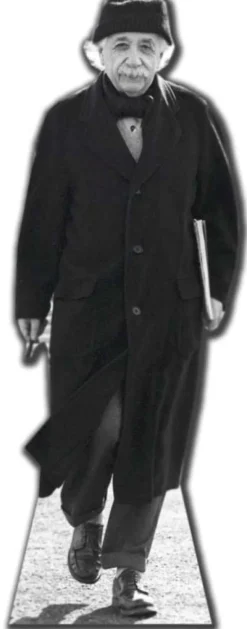 Dekoracja kartonowa ALBERT EINSTEIN