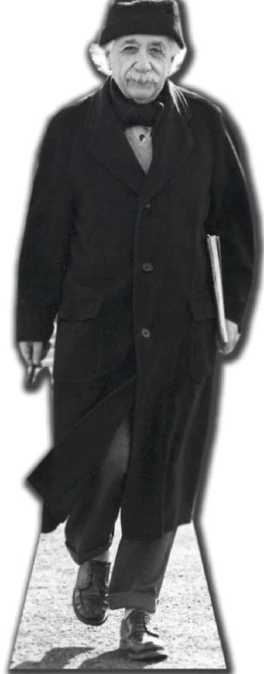 Dekoracja kartonowa ALBERT EINSTEIN