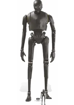 Dekoracja kartonowa K-2SO