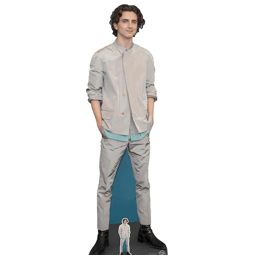 Dekoracja kartonowa TIMOTHEE CHALAMET