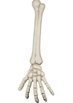 Dekoracja na Halloween RĘKA SZKIELETORA 46cm