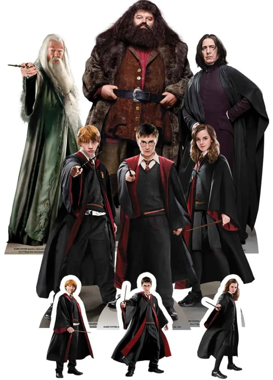 Dekoracja stołu HARRY POTTER (9szt.)