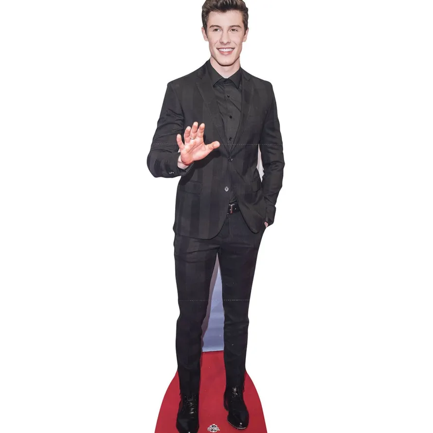 Kartonowy SHAWN MENDES dekoracja stojąca