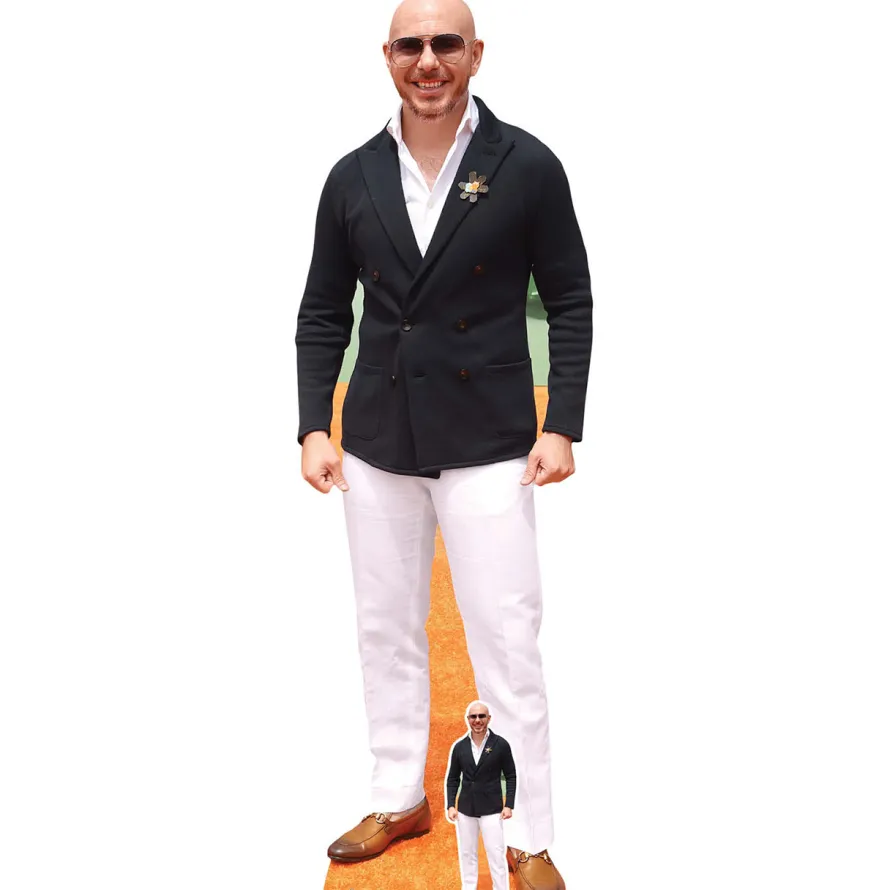 Kartonowy stand PITBULL prezent dla fana Pitbulla