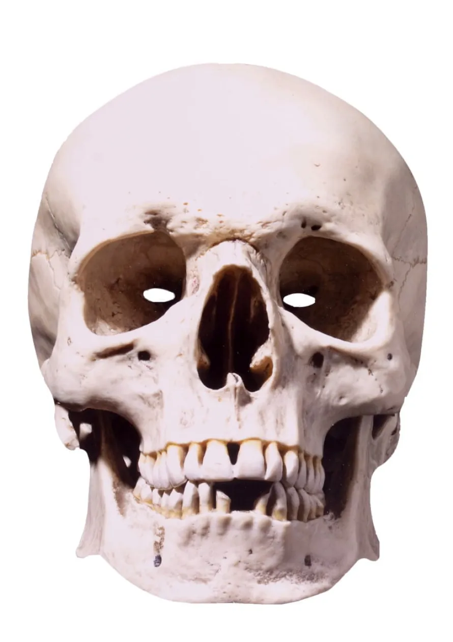 Maski tekturowe HALLOWEEN maski straszne (6szt.)