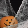 Pajęczyna Halloween biała 20g