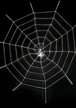 Pajęczyna na Halloween z pająkiem