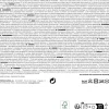 Peruka męska DONALD PREZYDENT
