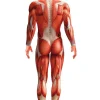 Przebranie na halloween ANATOMIA - M