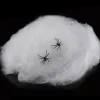 Sieć pająka PAJĘCZYNA NA HALLOWEEN