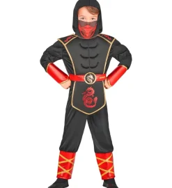 Strój karnawałowy NINJA DRAGON