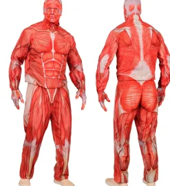 Strój MIĘŚNIE Anatomia