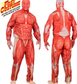 Strój MIĘŚNIE Anatomia