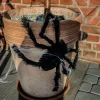 Sztuczny Duży PAJĄK dekoracja na Halloween